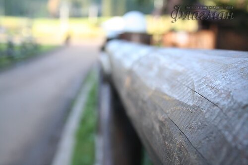 IMG_4449_r